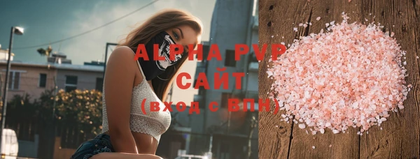 дживик Гусев
